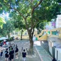 探索澳門婆仔屋與葡國生活館