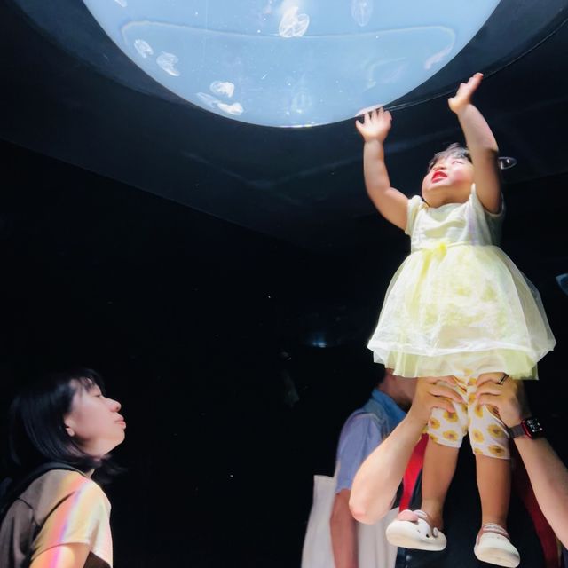 都内にある水族館！