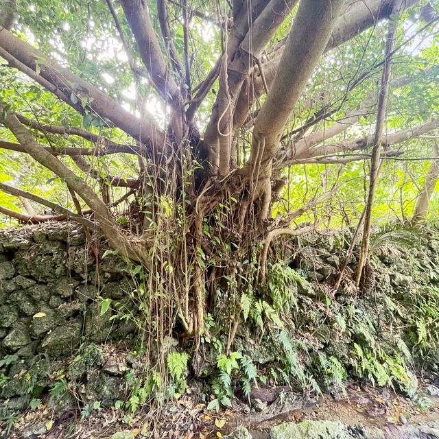 【沖縄】垣花樋川【日本の名水】