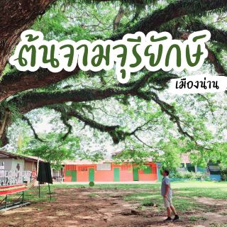 จามจุรียักษ์​เมืองน่าน