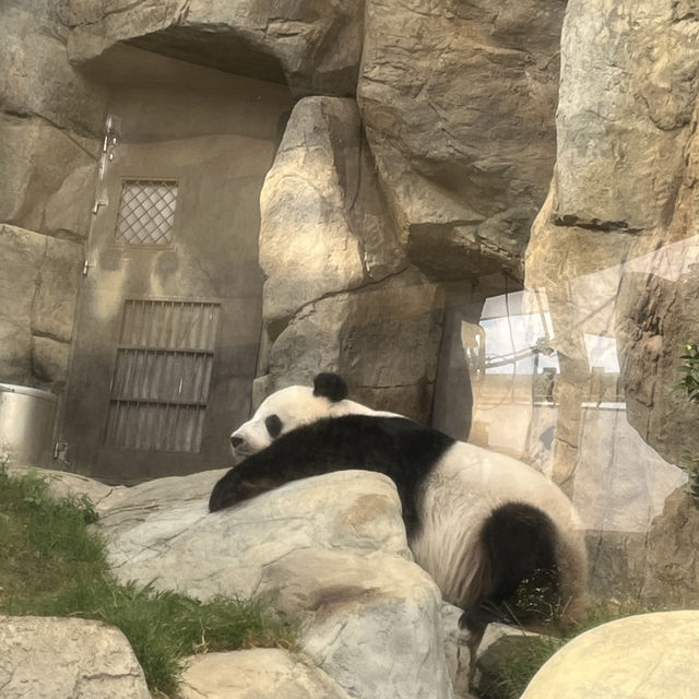 海洋公園一日遊