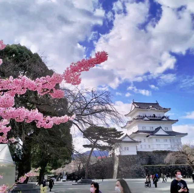 Odawara Castle