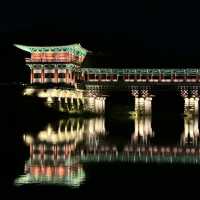 찬란하게 빛나는 최고의 야경 명소 🌉 경주 월정교