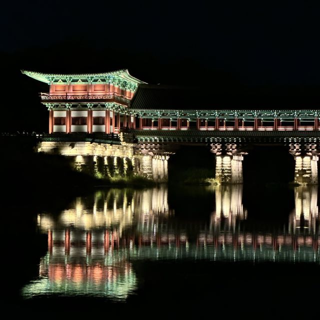 찬란하게 빛나는 최고의 야경 명소 🌉 경주 월정교