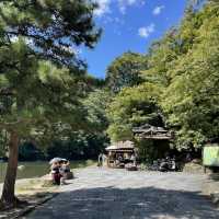 【ペットとお出かけ】嵐山公園をお散歩！