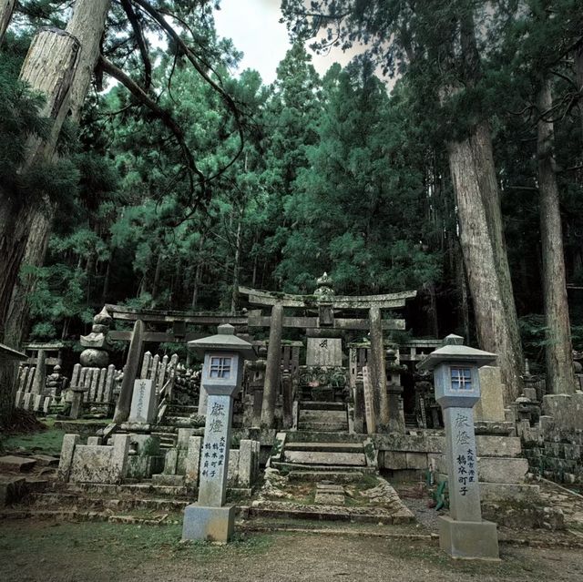 靈巖靜修！⛩️🧘 高野山