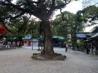福岡博多住吉神社｜寧靜美麗的地方，三大住吉之一