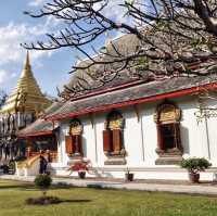 🕌🙏 清曼寺～清邁古城的佛塔奇蹟🕌🙏🏰⛩️🌸