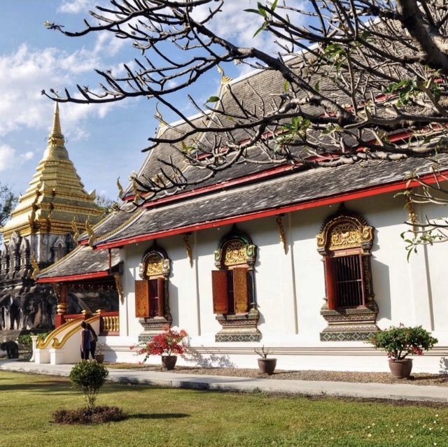 🕌🙏 清曼寺～清邁古城的佛塔奇蹟🕌🙏🏰⛩️🌸