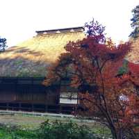 青梅方面に紅葉ドライブ