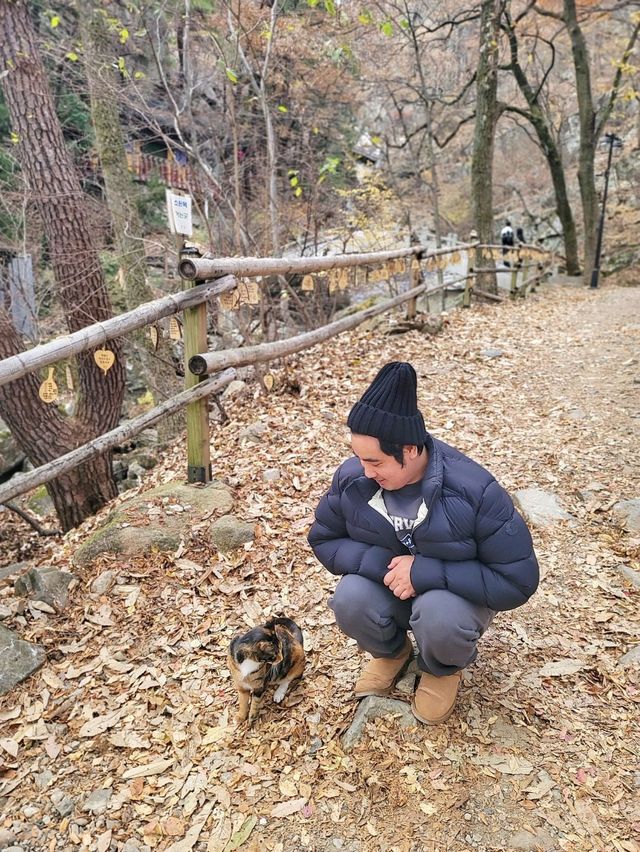 초겨울에도 분위기있는 아름다운 홍룡폭포✨️