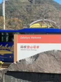 The Mountainside Railway - Hakone Train 