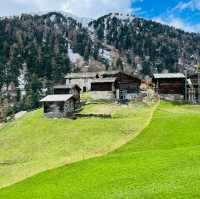 Alpine Majesty: delightful countryside