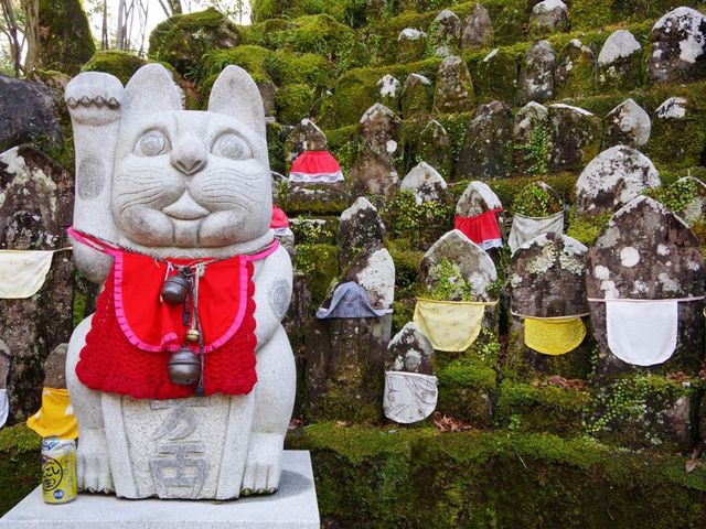 【高知市】四国霊場第31番札所🙏