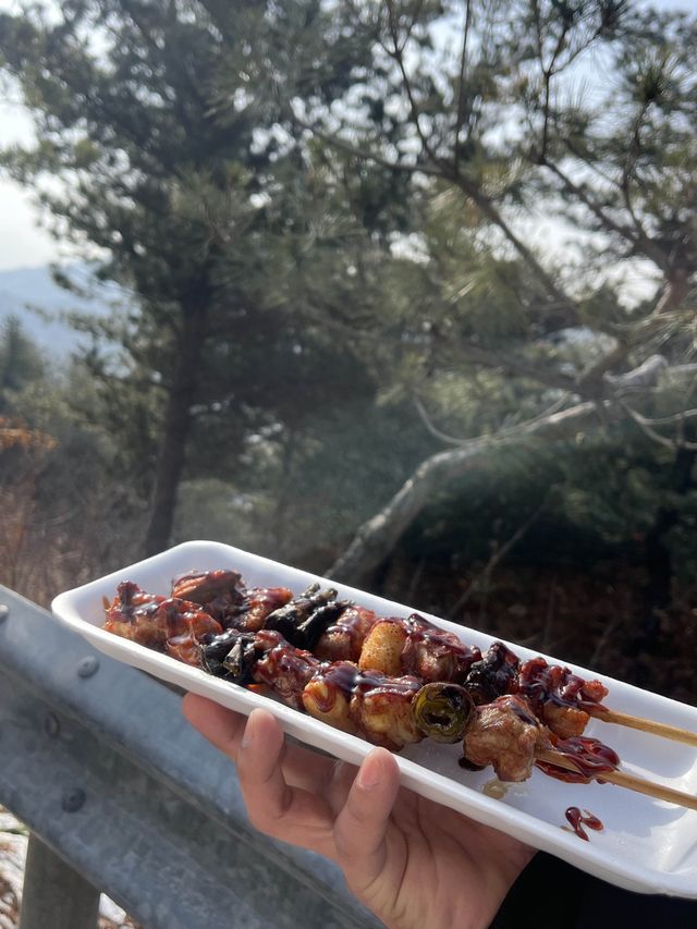 눈썰매 타며 동심으로 돌아가는 경기 양주 눈꽃축제 나들이❄️