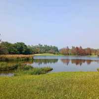 香港濕地公園