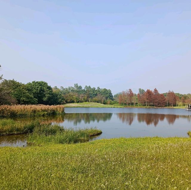 香港濕地公園