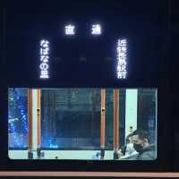 名花之里交通攻略