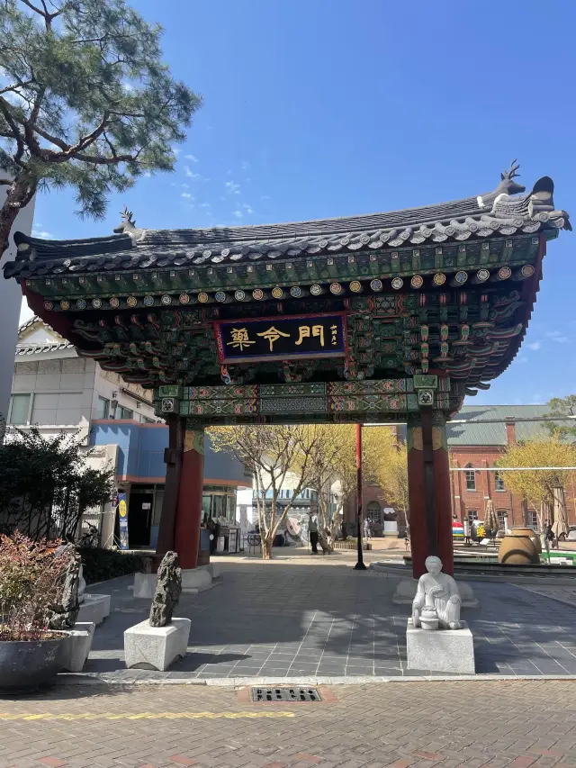 【韓國大邱】大邱藥令市場韓醫藥博物館🌿認識韓藥及韓國文化