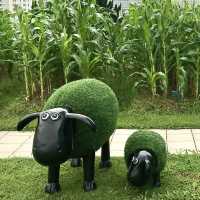 FARM TOGETHER-SKY FARM