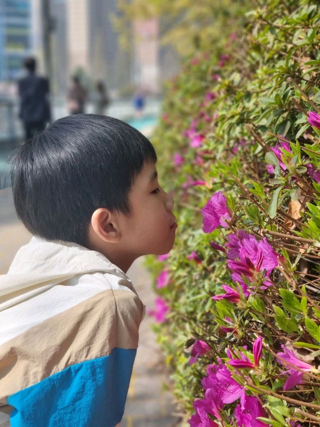 봄꽃향기 가득한 곳😊