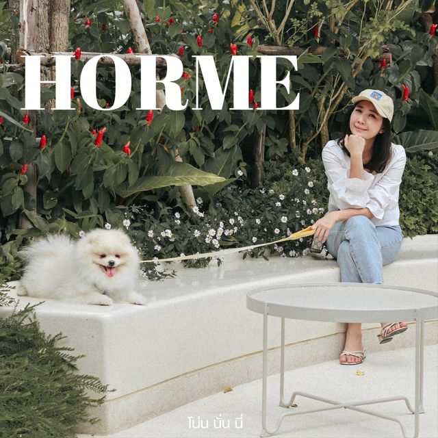 horme cafe คาเฟ่น่ารักนนทบุรีน้องหมาเข้าได้
