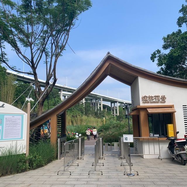 古鎮夜遊後來個花谷晨運🏃‍♀️🌻🏃‍♀️