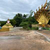 วัดดานพระอินทร์ ดานแมงคับ