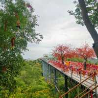 วัดเขาตะแบก  จังหวัดชลบุรี