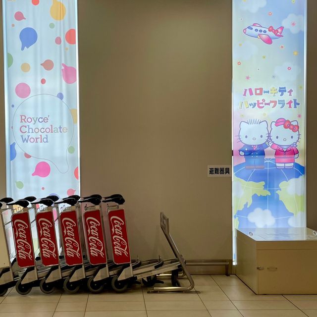 【北海道】ハローキティと仲間たち！ハローキティハッピーフライト