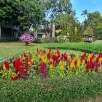 รีวิว โรงแรม Flora Creek เชียงใหม่
