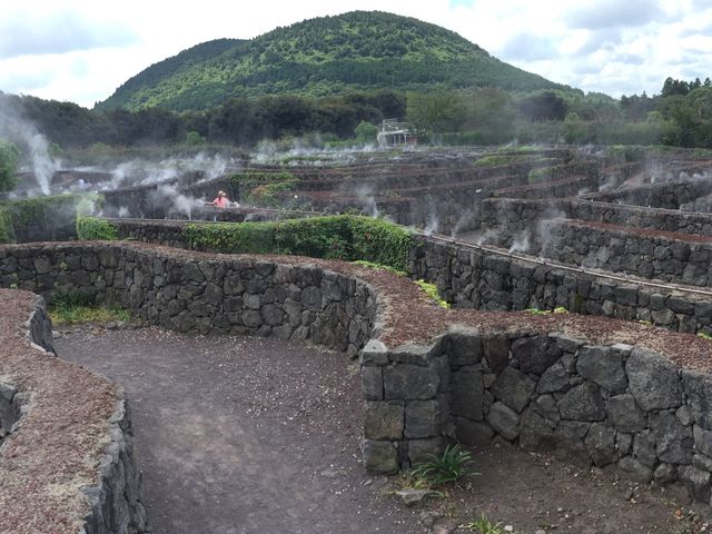 大人小朋友都啱玩濟洲Mazeland