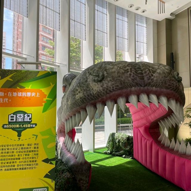 dinosaur coming！🐾