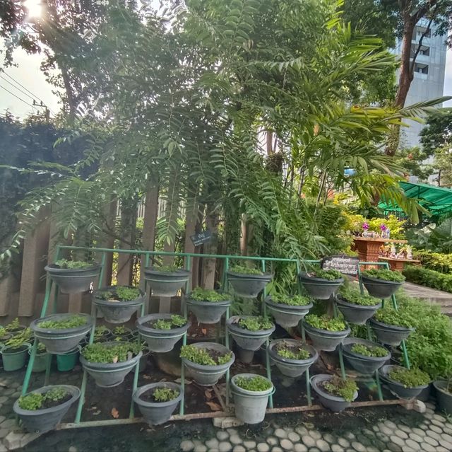 สวนสันติภาพ แหล่งเรียนรู้ธรรมชาติใจกลางกรุง