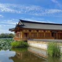 전주 가볼만한곳 덕진공원 연화정도서관