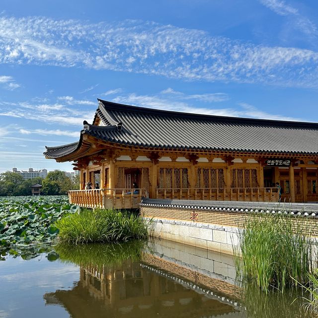 전주 가볼만한곳 덕진공원 연화정도서관