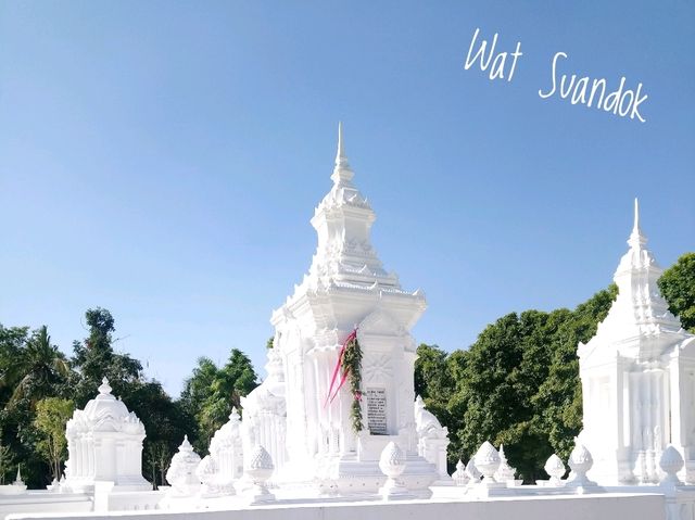 One Day in Chiang Mai by Bike