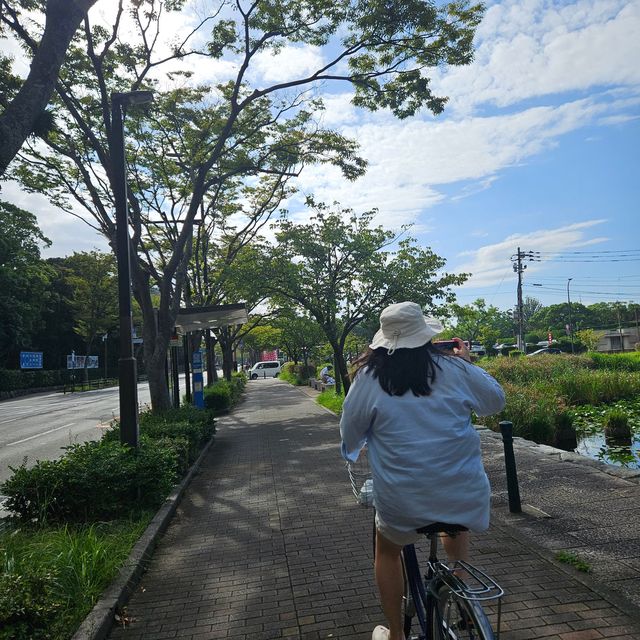 일본갬성 자전거여행