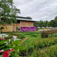 Songkhla Flower Farm