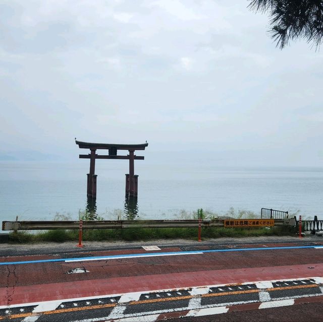 滋賀琵琶湖．白鬚神社 - 夢幻水中鳥居