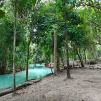 สวนรุกขชาติวังก้านเหลือง
