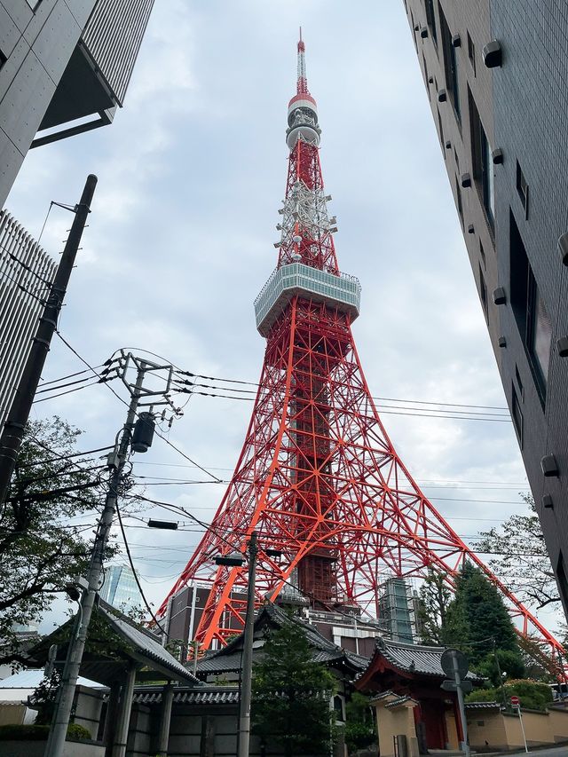 東京之美·每次必打卡東京鐵塔日與夜