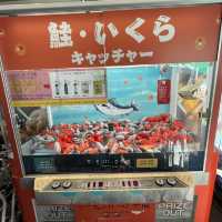 【北海道】道の駅サーモンパーク千歳の館内！
