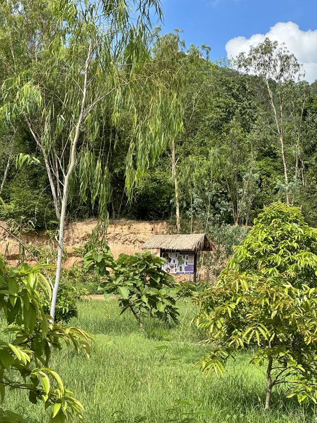 ศึกษาธรรมชาติที่โครงการพระราชดำริเขาชะงุ้ม 🌿