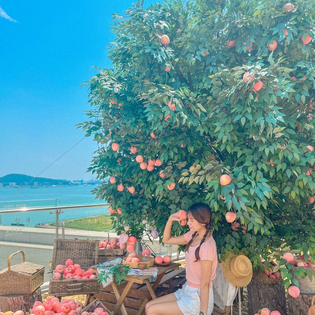 영종도에서 가장 예쁜 오션뷰 컨셉 카페❤️