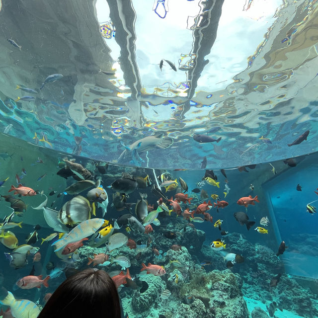 美麗海水族館