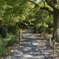 名古屋城行くならぶらり二之丸庭園！名勝指定の庭