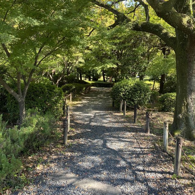 名古屋城行くならぶらり二之丸庭園！名勝指定の庭