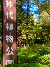 神代植物公園～大自然的綠寶石💚🌿🌺