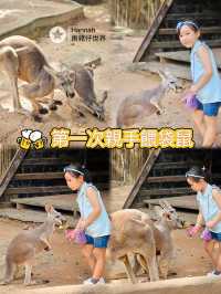 深圳動物園攻略